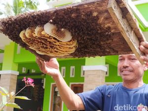 Wisata ke Kampung Madu di Ciamis