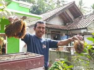 Potret Kampung Madu di Ciamis