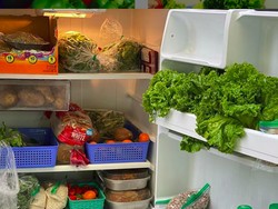 Tips Menyimpan Makanan di Kulkas Agar Tetap Segar Lebih Lama