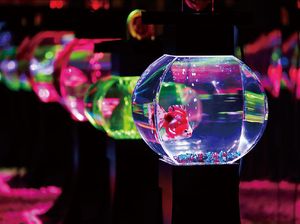 Potret Akuarium Unik yang Tampung 30 Ribu Ikan Mas Koki di Jepang