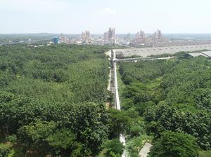 Penghijauan Pasca Tambang Semen Indonesia