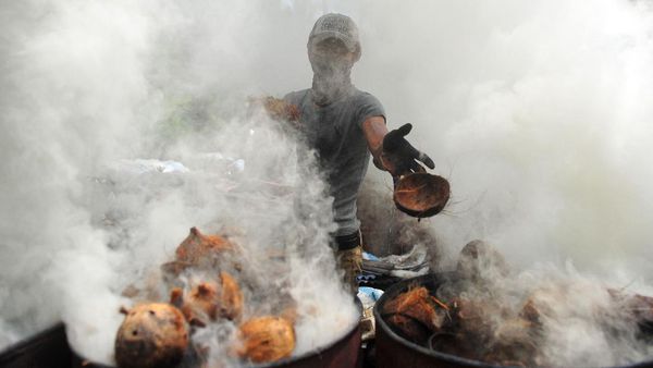 Produksi Arang Batok di Jambi Capai 500 Kg Per Hari Lho