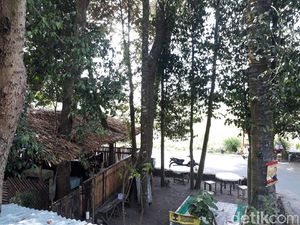 Slurpp! Menikmati Wedang Sereh Jahe di Rumah Pohon Asri