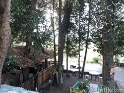 Slurpp! Menikmati Wedang Sereh Jahe di Rumah Pohon Asri