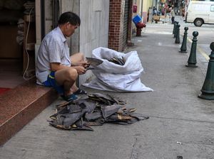 Sirip Hiu Dijual Bebas di Hong Kong dan China, Hati-hati Bahaya Merkuri!