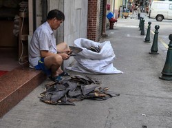 Sirip Hiu Dijual Bebas di Hong Kong dan China, Hati-hati Bahaya Merkuri!