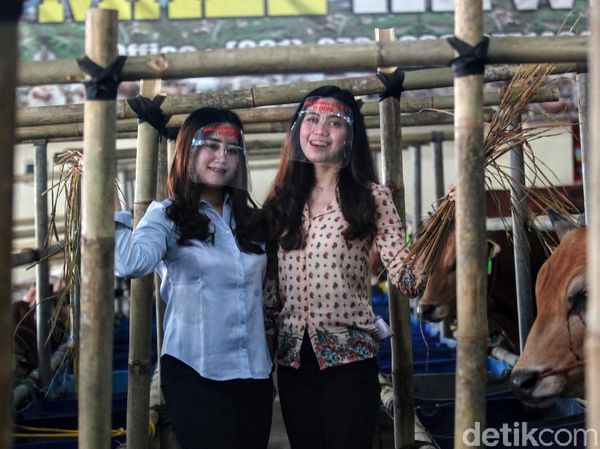 Senyum Manis SPG Hewan Kurban