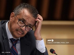 Maju Mundur Cantik WHO Soal Lockdown Corona