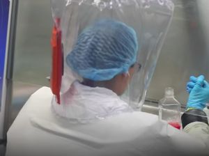 Pejabat China: Amerika Bohong Soal Ilmuwan Lab Wuhan Sakit