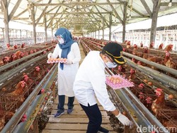 Banyuwangi Gelontor Telur hingga Buah ke Tenaga Kesehatan COVID-19