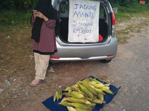 Haru! Kisah Ibu Hamil 7 Bulan Jualan Jagung Demi Hidupi Keluarga