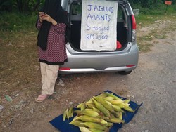 Haru! Kisah Ibu Hamil 7 Bulan Jualan Jagung Demi Hidupi Keluarga