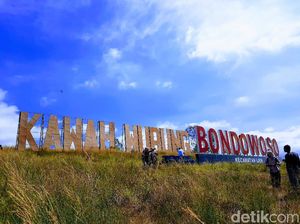 Bukit Teletubbies Kawah Wurung Dibuka Lagi dengan Kapasitas 50%