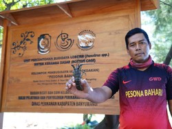 Nelayan Pantura Dukung Menteri Edhy Cabut Aturan Tangkap Benih Lobster