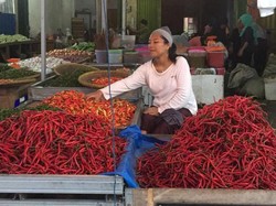 Muncul Klaster Baru, Warga Bengkulu Berpenyakit Penyerta Diimbau Tak ke Pasar