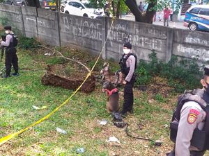 Polisi Ungkap Perkiraan Waktu Kematian Editor Metro TV Yodi Prabowo Polisi Ungkap Perkiraan Waktu Kematian Editor Metro TV Yodi Prabowo
