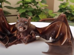 Heboh YouTuber Indonesia Mukbang Kelelawar Goreng Tepung