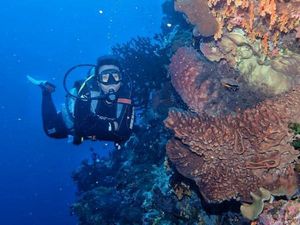 Satu Lagi Surga Diving di Sulawesi Utara