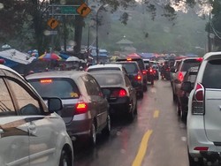 Video: Kawasan Puncak Padat, One Way Diberlakukan