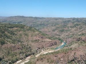 Pesona Kebun Buah Mangunan di Bantul