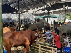 Kurban Online Lewat Baznas Naik 75% di Idul Adha Tahun Ini