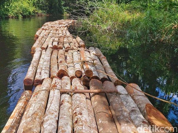 Potret Ratusan Batang Kayu Hasil Illegal Logging di Riau