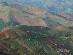Indahnya Panorama Terasering Panyeweuyan Argapura