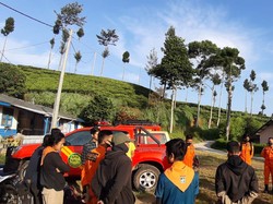 Diduga Tersesat di Perkebunan Teh, Kakek di Bandung Hilang 5 Hari