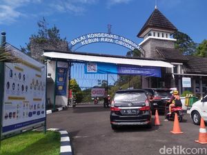 22 Kios di Kawasan Wisata Terbakar, Kebun Raya Cibodas Tetap Buka