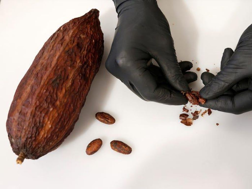 Yuk, Intip 10 Fakta Unik Cokelat yang Ada di Dunia! Yuk, Intip 10 Fakta Unik Cokelat yang Ada di Dunia!