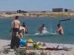 Anjing Laut Dipukuli Sampai Pingsan Biar Turis Bisa Foto, Terlalu!