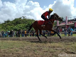 Serunya Lomba Pacuan Kuda Meski Tanpa Penonton