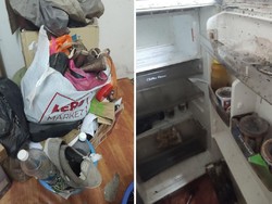 Viral Kisah Penyewa dari Neraka, Tinggalkan Rumah Kontrakan Penuh Ulat