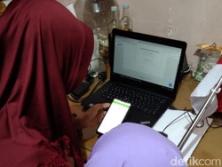 Ini Proses Pertumbuhan Pada Tanaman Paku yang Berkembang Biak Menggunakan Spora