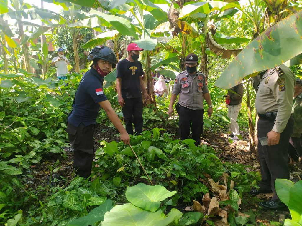 Penemuan Bayi Laki-laki di Kompleks Pekuburan Gegerkan Warga Minahasa Penemuan Bayi Laki-laki di Kompleks Pekuburan Gegerkan Warga Minahasa