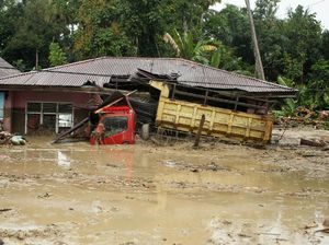 Video Luwu Utara Dikepung Lumpur Usai Banjir Bandang