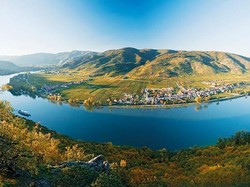 Ini Daftar Kebun Anggur Terbaik Dunia 2020