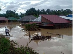 Cerita Tim SAR Evakuasi Anak Terpisah dari Ortu Saat Banjir Luwu Utara