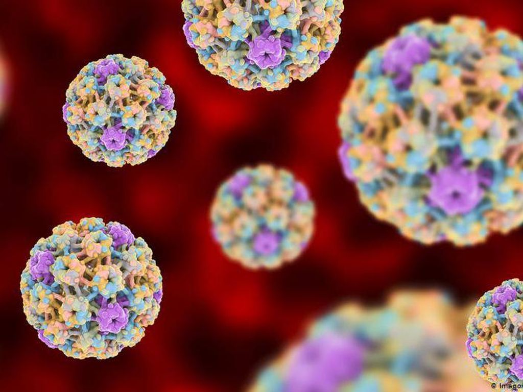 Human Papillomavirus HPV Bisa Picu Kanker Prostat Ganas? Human Papillomavirus HPV Bisa Picu Kanker Prostat Ganas?