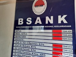 Reaksi Ketua BSANK Soal Lembaganya Bakal Dibubarkan