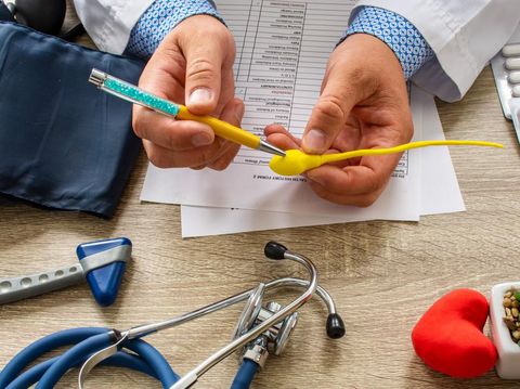 Doctor during consultation held in his hand and shows patient anatomical model of male sperm. Counseling of men and couples about male infertility, sperm pathology, impossibility to get pregnant
