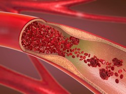Sel Darah Merah Berfungsi untuk Apa Saja? Ini Jawabannya