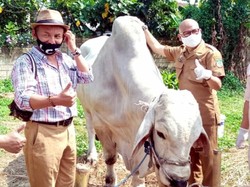 DKP3 Kota Sukabumi Imbau Panitia Kurban Patuhi Protokol Kesehatan