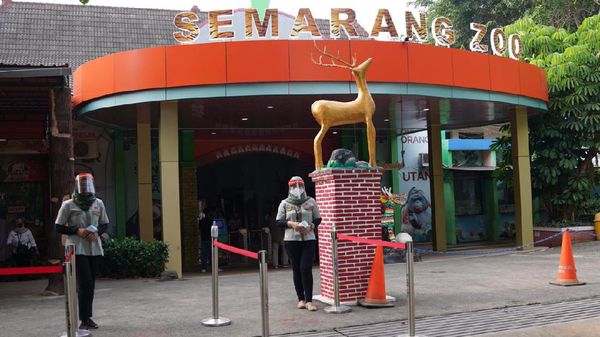 Foto: Semarang Zoo Buka Lagi, Bayar Cashless dan Wajib Masker