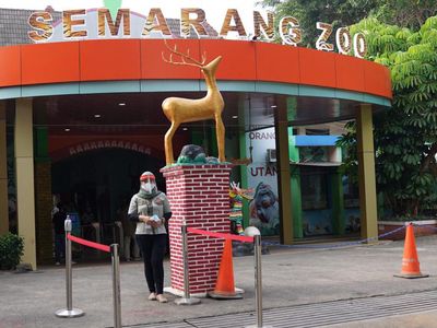 Foto: Semarang Zoo Buka Lagi, Bayar Cashless dan Wajib Masker