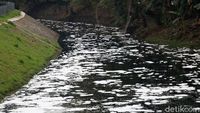 Sungai Buaran Jakarta Timur Berbusa