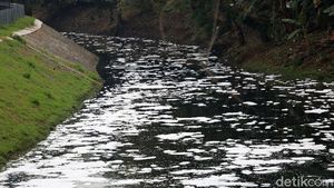 Sungai Buaran Jakarta Timur Berbusa