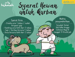 Lagi Cari Hewan untuk Qurban? Perhatikan Syarat-syarat Ini