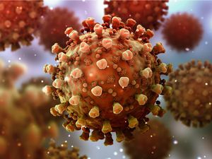 Zona Merah, Pilkada di 8 Provinsi Masih Gantung