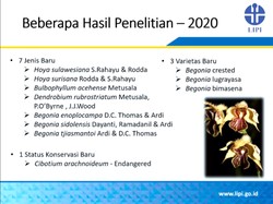 Corona Tak Halangi Peneliti LIPI Temukan Jenis Tumbuhan Baru